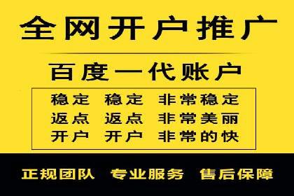 SEM竞价开户流程详解：成功案例解析